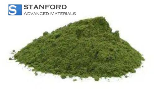 Thermopsis Lanceolata Extract Powder