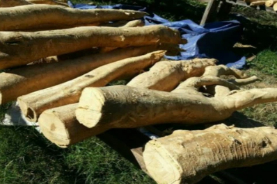 Functional Botanical Extracts